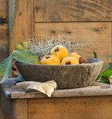 Quinces, cushion bush, walnut leaves and walnuts in a natural stone bowl