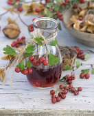 Hawthorn liqueur, in the background a stone bowl filled with hawthorn and beechnuts