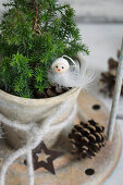 Mini conifer tree with winter decorations