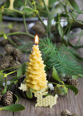 Honey candle as a fir tree