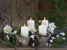 Vier Harztöpfe mit Kerzen, Christrosen und duftendem Winterjasmin (Jasminum polyanthum)