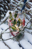 Eiswindlicht im Schnee, mit Ilexbeeren, zwischen mit Flechten besetzten Zweigen