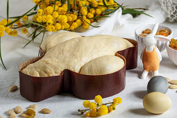 Colomba - Traditional Italian Easter cake with almonds in the shape of a dove, unbaked