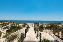 Sanddünen am Strand Praia da Ilha da Farol, bei Olhao, Faro, Portugal