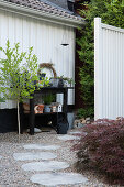 Planting garden bench with star magnolia next to it