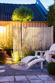 Deckchairs on circular patio with illuminated spherical field maple 'Nanum' in background