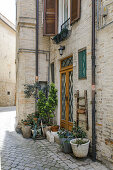 Typische Häuser in der Altstadt mit Blumenschmuck, Fermo, in den Marken, Adria, Italien