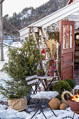 Weihnachtsdekoration und Feuerschale auf winterlicher Terrasse vor Gewächshaus