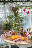 Set table, above Christmas decoration in the greenhouse
