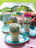 Mini cacti as place cards