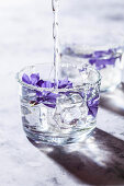 Wasser mit Eis und Blüten im Glas mit Zuckerrand