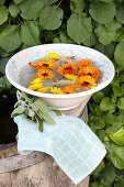 Steam bath with marigold and sage (against sore throat)