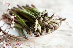 Fresh green asparagus