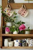Wall shelf with cups and pink roses