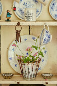 Plate and tea cup with houseplant on kitchen shelf