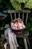 Baisertorte mit Erdbeeren auf rustikalem Holzstuhl