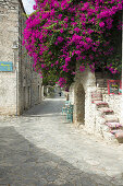 Blühende Bougainvillea und typische Mauern, Dorf Mezapos, Halbinsel Mani, Peloponnes, Griechenland