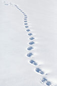 Spuren im Schnee, Schneeschuhwandern, verschneite Berglandschaft, Pyrenäen, Frankreich