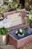 Wooden box with egg shell, horned violet and guinea fowl feathers as Easter decoration