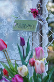 Willkommensschild  und Tulpenstrauss als Dekoration am Fenster