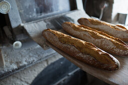 Drei Baguettes