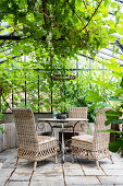 Gemütlicher Sitzplatz mit Rattanstühlen unter Weinpergola im Gewächshaus