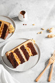 A slice of chocolate-caramel cake with peanuts (Snickers Cake)