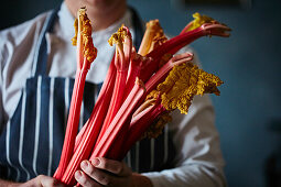 Chef with apron holds rhubarb stalks in his hands