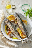 Grilled rosemary mackerel