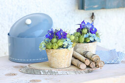 Delphinium with love-in-a-mist in the green and hydrangea in a birch pot