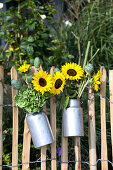 Sonnenblumen mit Mohnkapseln und Hortensie in Milchkannen