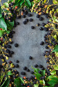 Blackberries as a frame