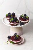 Blackberry Skyr Tart
