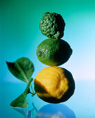 Citrus fruits (kaffir lime, lime, lemon), stacked on top of each other