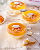 Panna Cotta with Creme Calisson (almond and apricot cream)