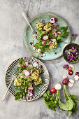 Radish salad with baked herb sheep's cheese