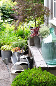 Zinc pots, balloon bottle, and watering cans on house wall