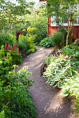 Gravel path winding through dense perennial garden