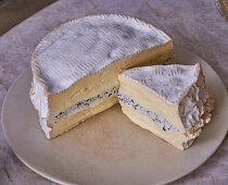 French soft cheese with truffles