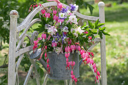 Bouquet of flowers in old watering can, watering heart (Dicentra Spectabilis) and columbine (Aquilegia) hanging on garden door