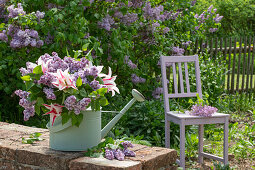 Blumenstrauß aus Tulpen (Tulipa) und Fliederblüten (Syringa) in alter Gießkanne