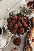 Shell-shaped chocolates with dried fruit and cocoa powder