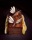 Festive chocolate cake with butterfly decoration