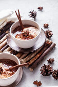 Hot chocolate with cinnamon stick and marshmallows