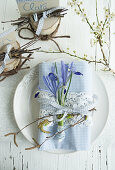 Weiß-blau karierte Stoffserviette mit Iris und Bändern auf Teller und DIY-Tischkartenhalter aus Birkenstamm