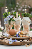Kerzen mit Kresse in Eierschalen im Glas, Osterdekoration mit Hornveilchen (Viola Cornuta), Zwiebeln und Ei