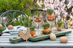 Easter decoration, egg shells with cress and onions in a glass on wooden tray, eggs and rooster figure