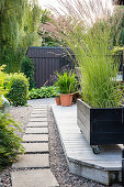 Pflanzkasten auf Rädern mit Reitgras (Calamagrostis) bepflanzt, auf Terrasse