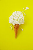 Ice cream cone with flower petals