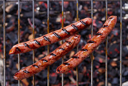 Grilled salsiccia on a grill rack